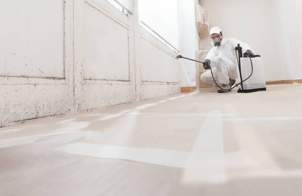 24/7 Emergency Basement Mold Remediation experts in Tempe, AZ